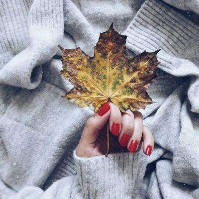 宝威体育官方app下载截图