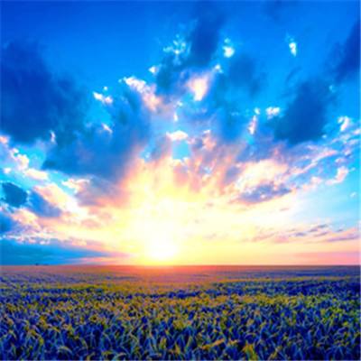 28圈游戏官网平台截图