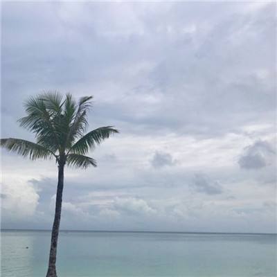 998娱乐彩票安卓APPapp下载