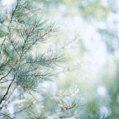 乐鱼app登录入口手机app下载