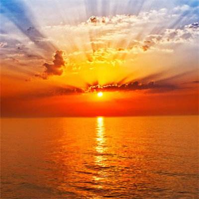 998娱乐彩票安卓APPapp下载截图